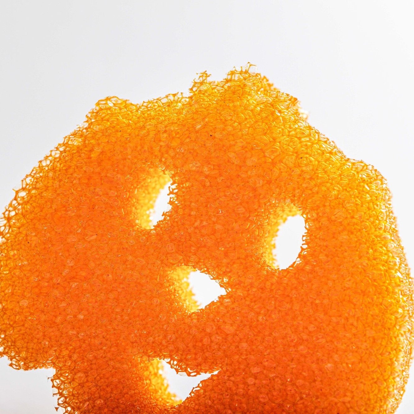 Scrub Daddy Dog houbička 1 ks FlexTexture