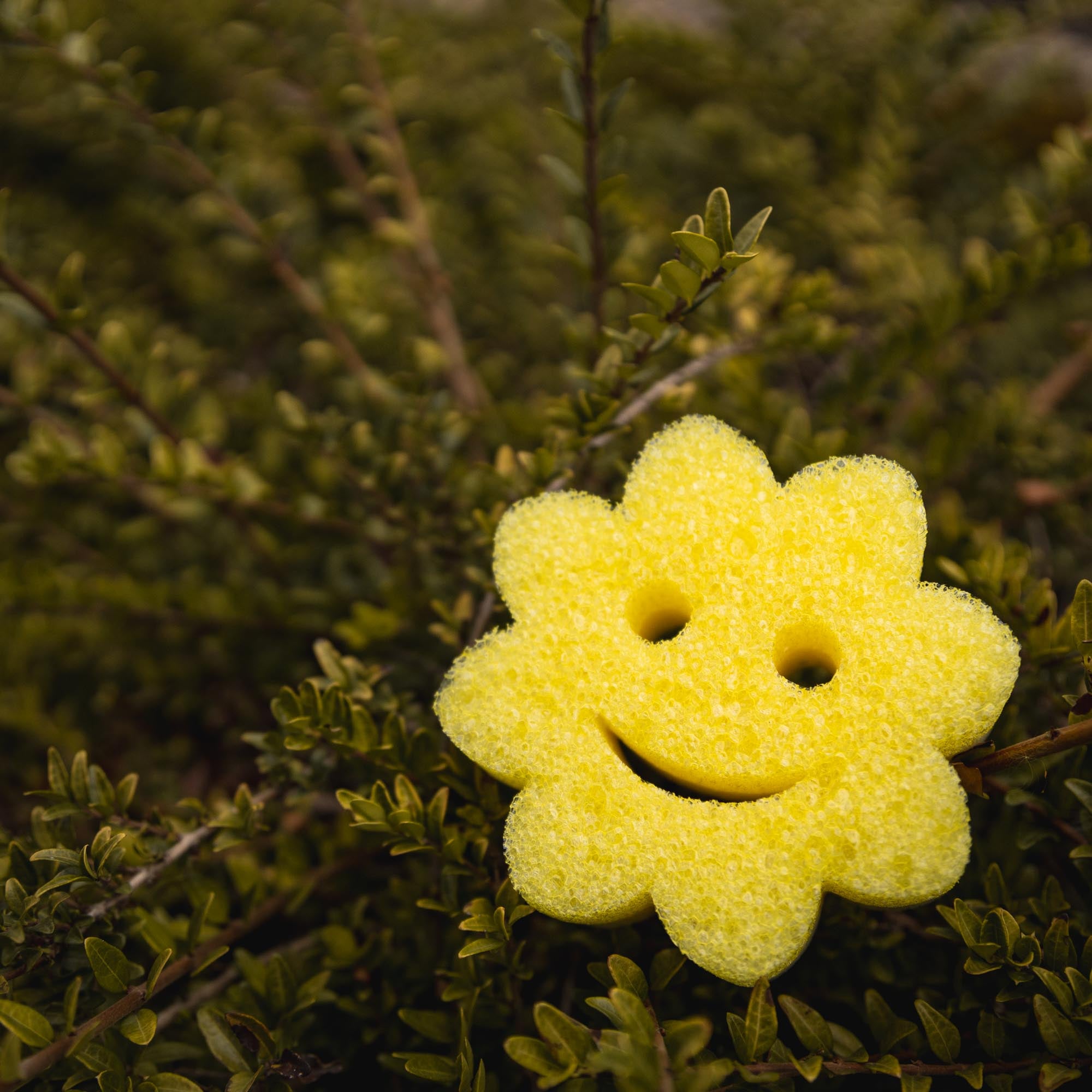 Scrub Mommy Power Flower žlutá houbička 1 ks oboustranná